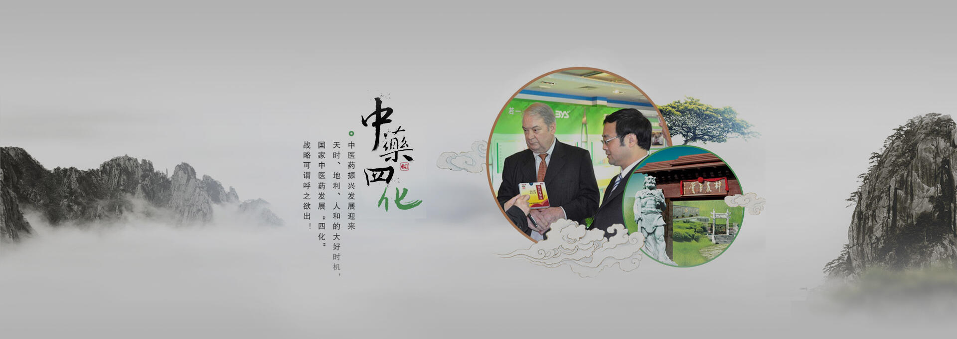 丰满建站-若一医药科技
