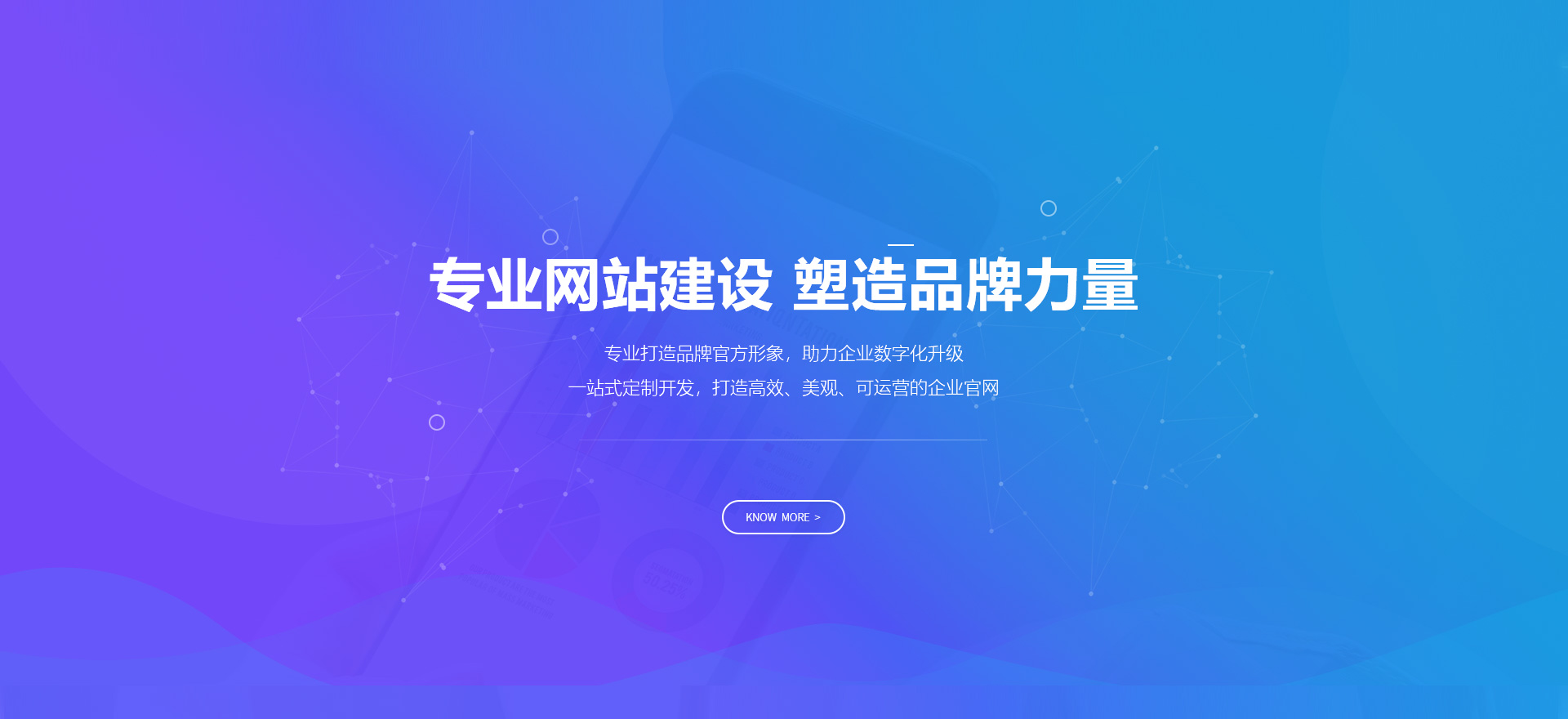 吉林市建站-专业网站建设 塑造品牌力量